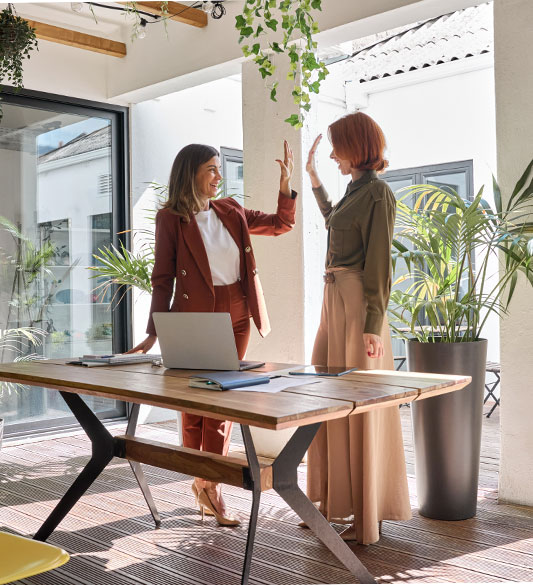 Zwei Frauen geben sich in einem lichtdurchfluteten Büro einen High-Five – erfolgreiche Partnerschaft mit IFDB zur Lieferung nachweisbarer Barrierefreiheit für gemeinsame Kunden nach BFSG und WCAG 2.2
